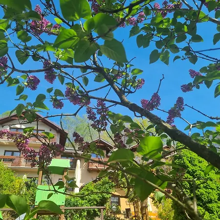 Feriested Gosciniec Groblice *